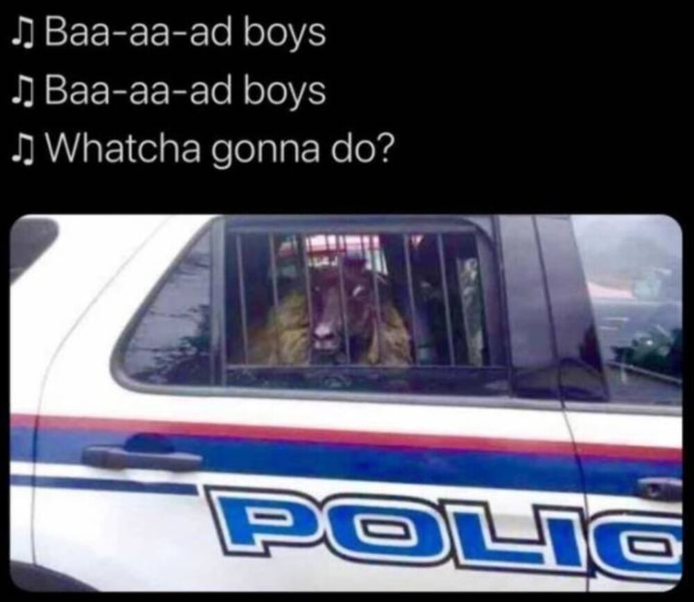 bad boys