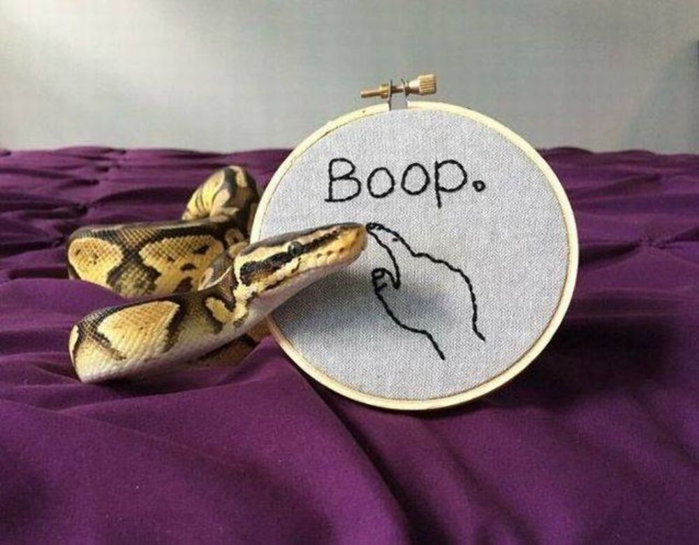 boop