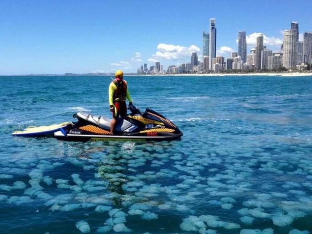 do not get off the jetski