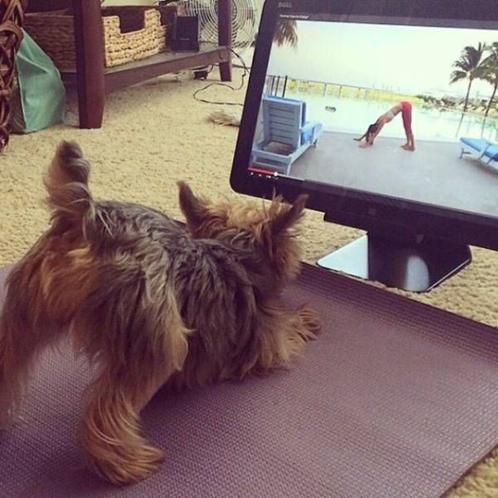 doing yoga together