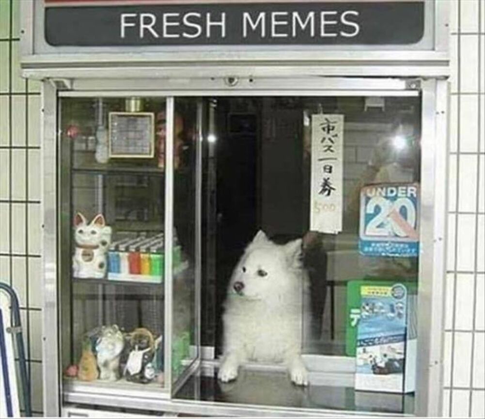 fresh memes