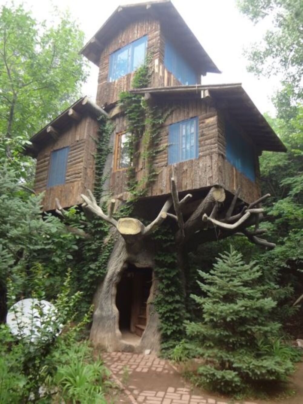 ultimate tree house