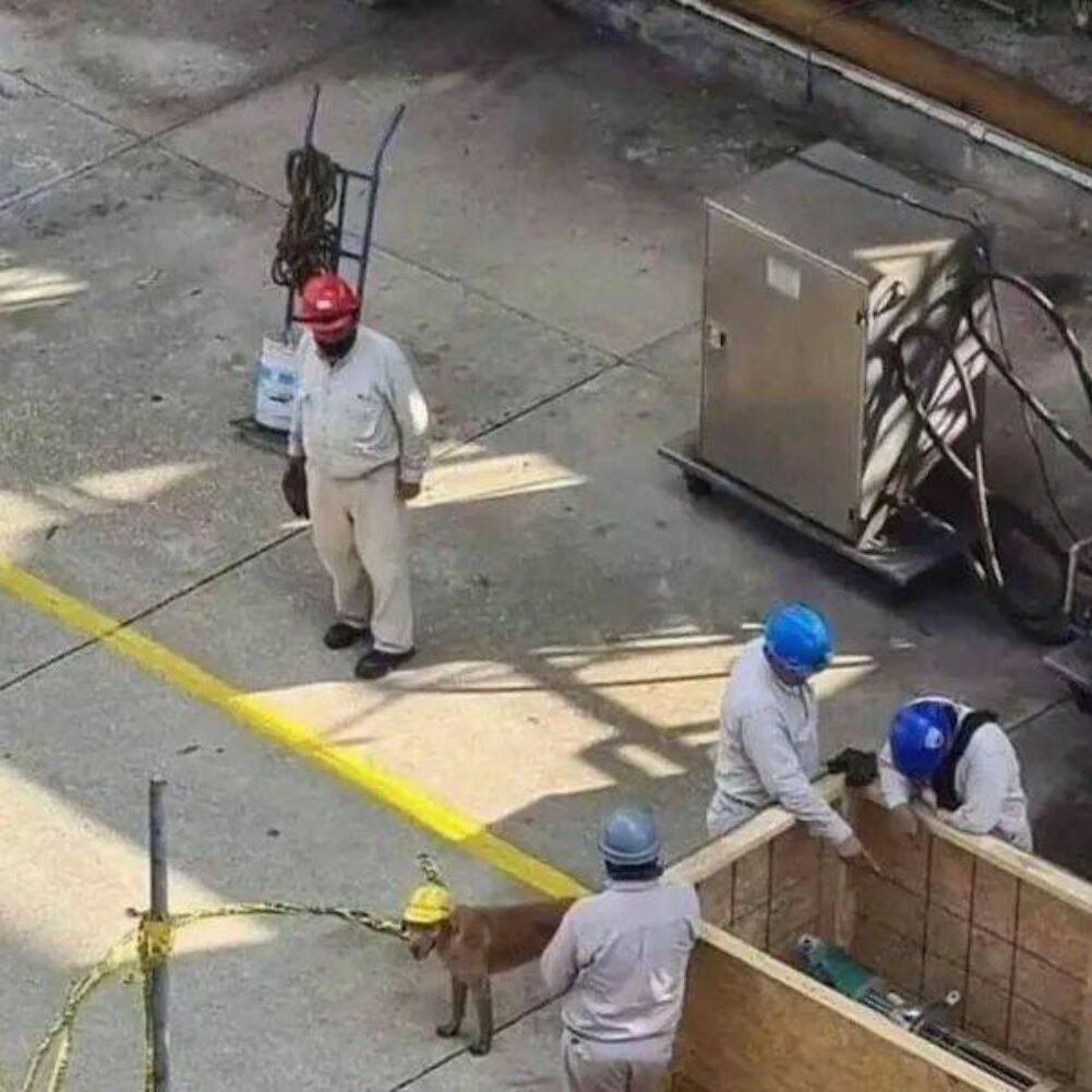 helmet rules for all