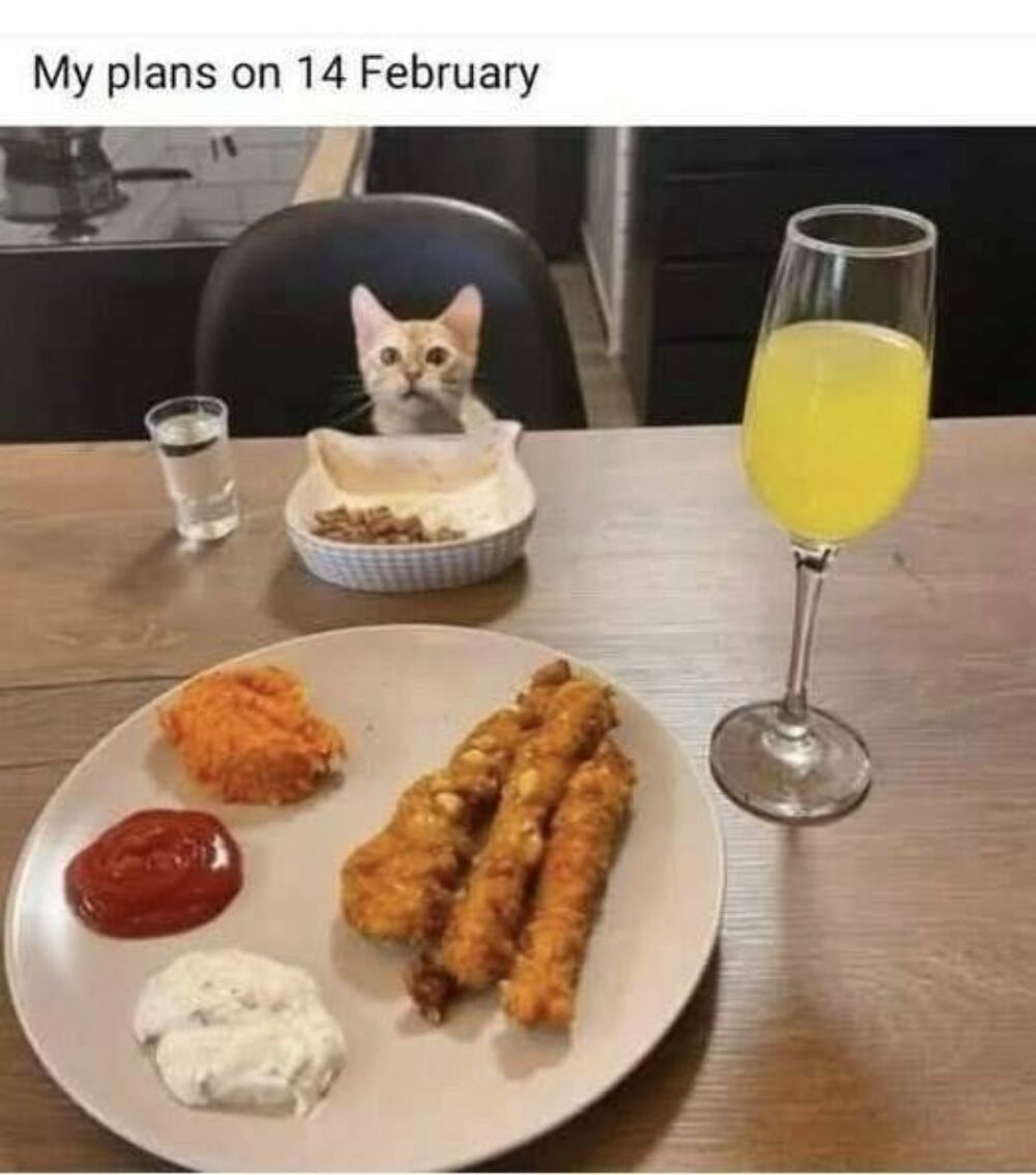 my plans