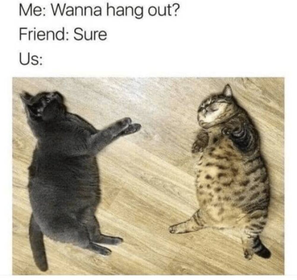 wanna hang out