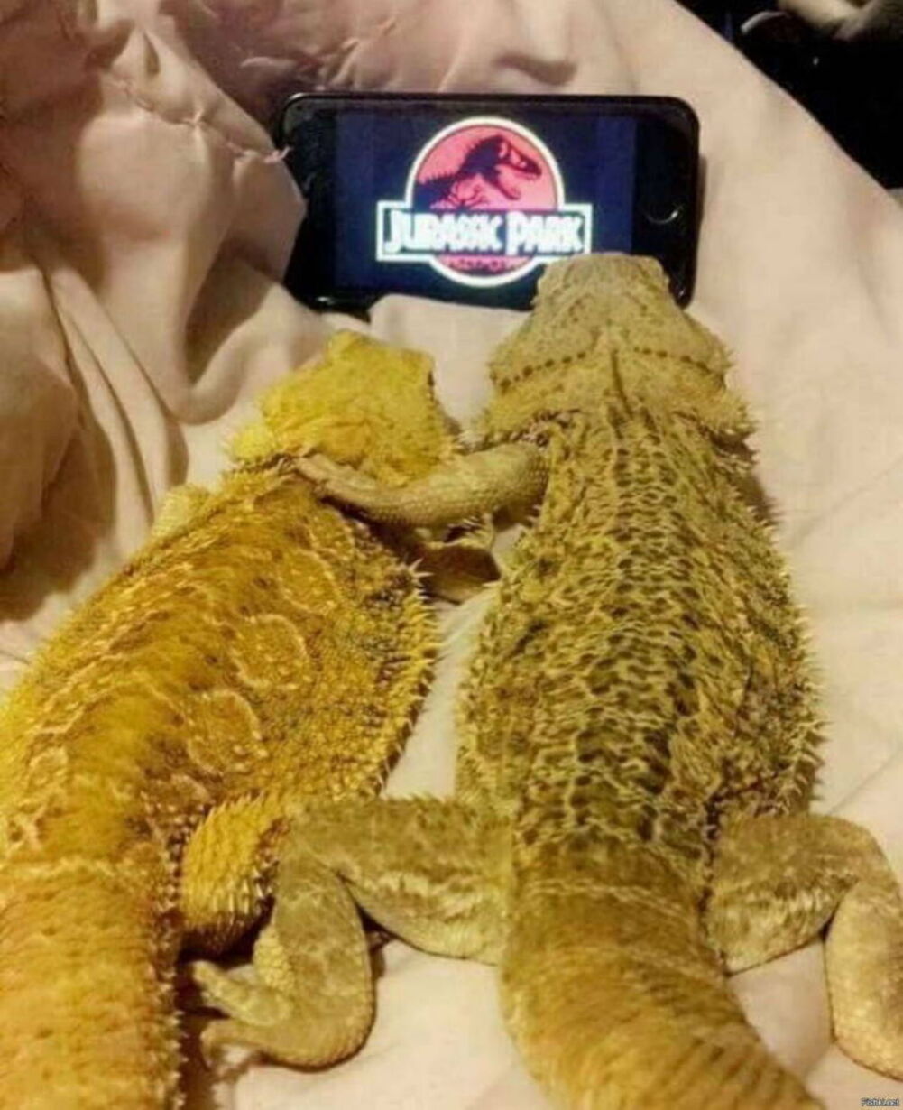 watching a great movie