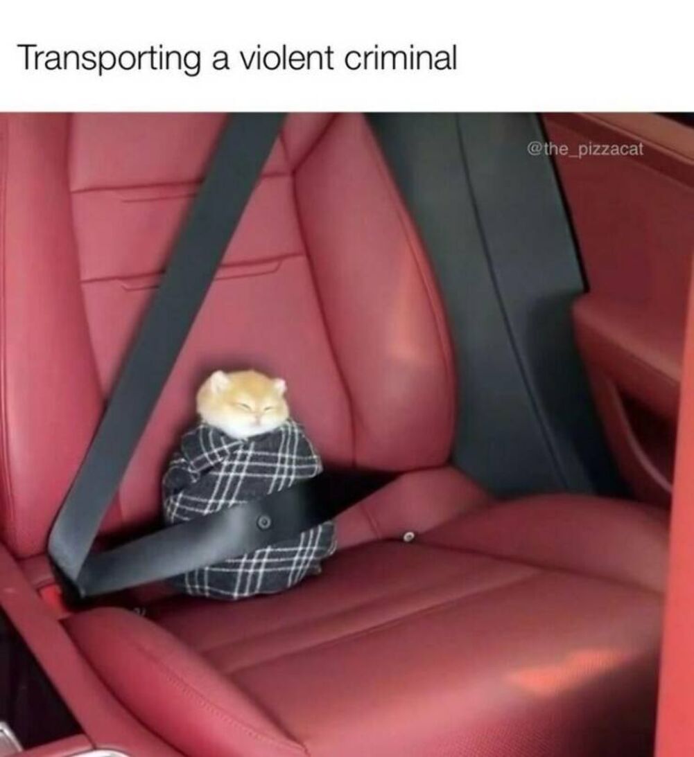 dangerous criminal