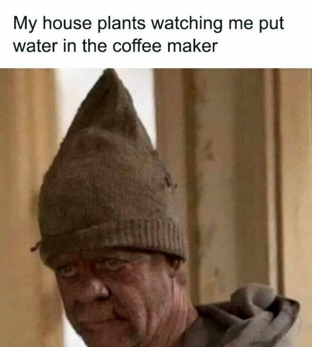 house plants watching me