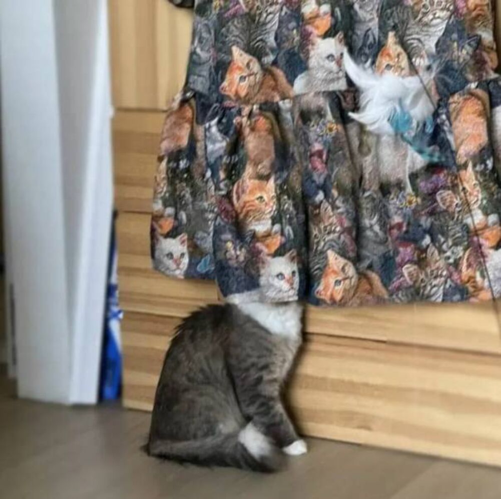 nobody will find me here