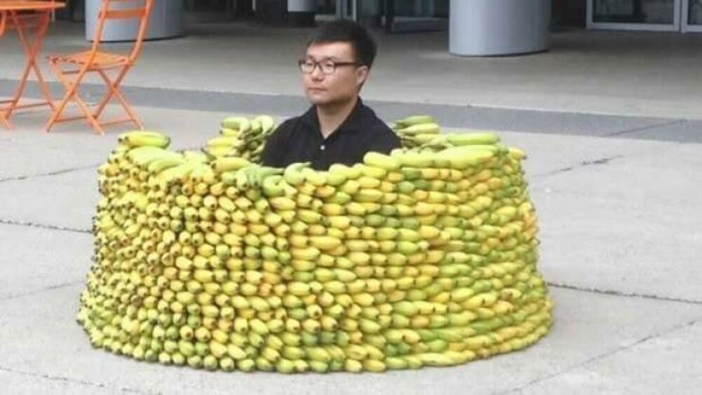 banana factory
