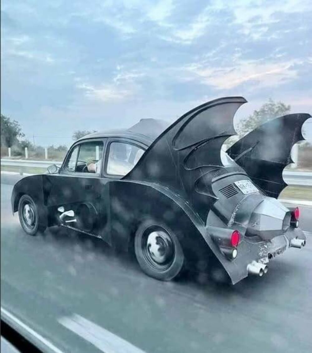 bat bug