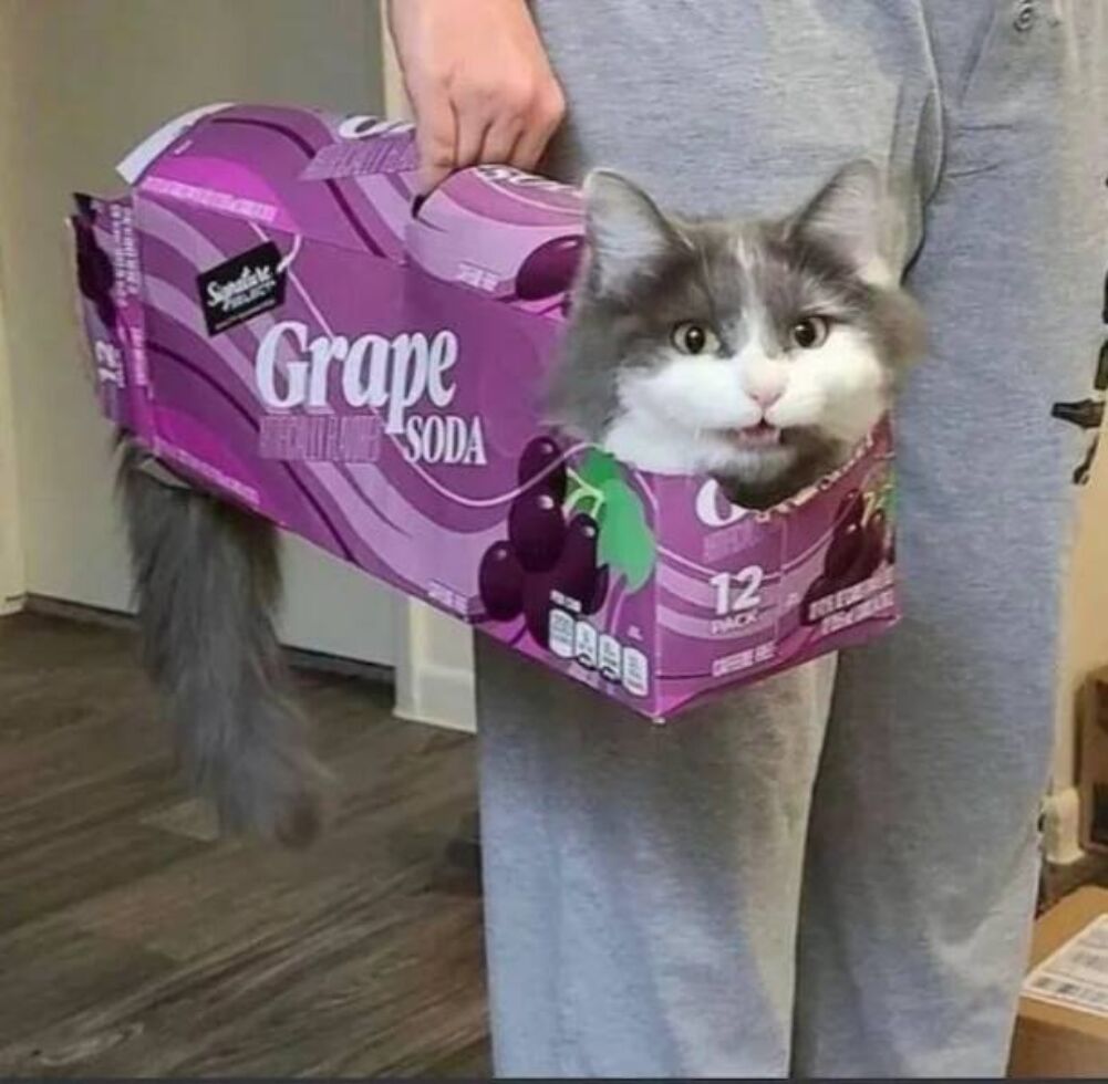 got some grape soda