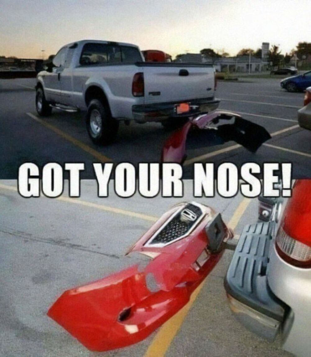 got your nose