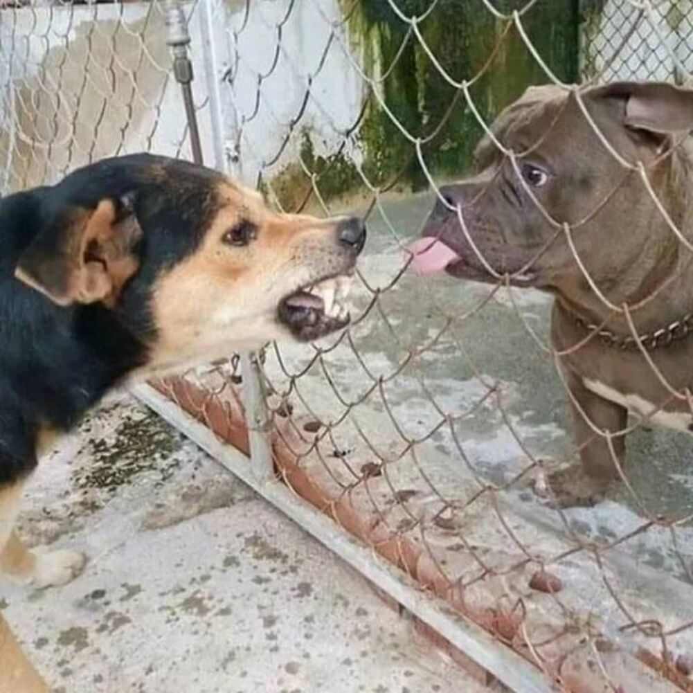 hahahaha get out of here