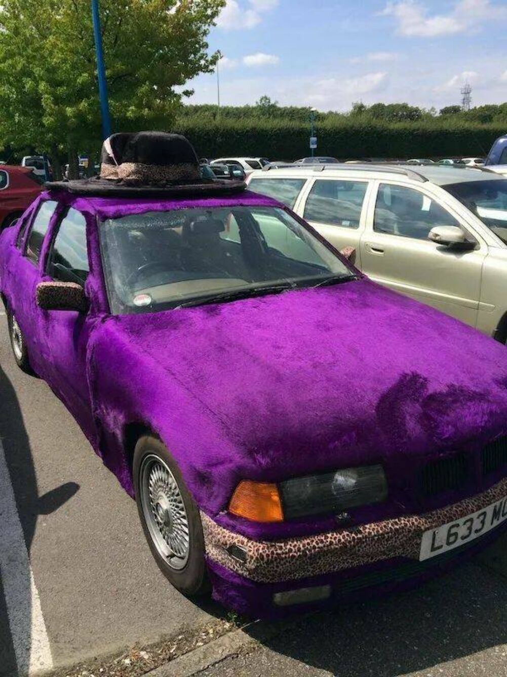 the purple car