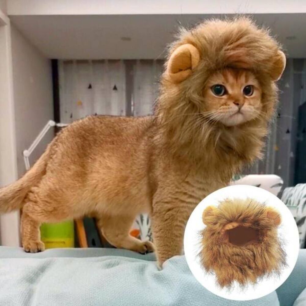 turn me into a lion