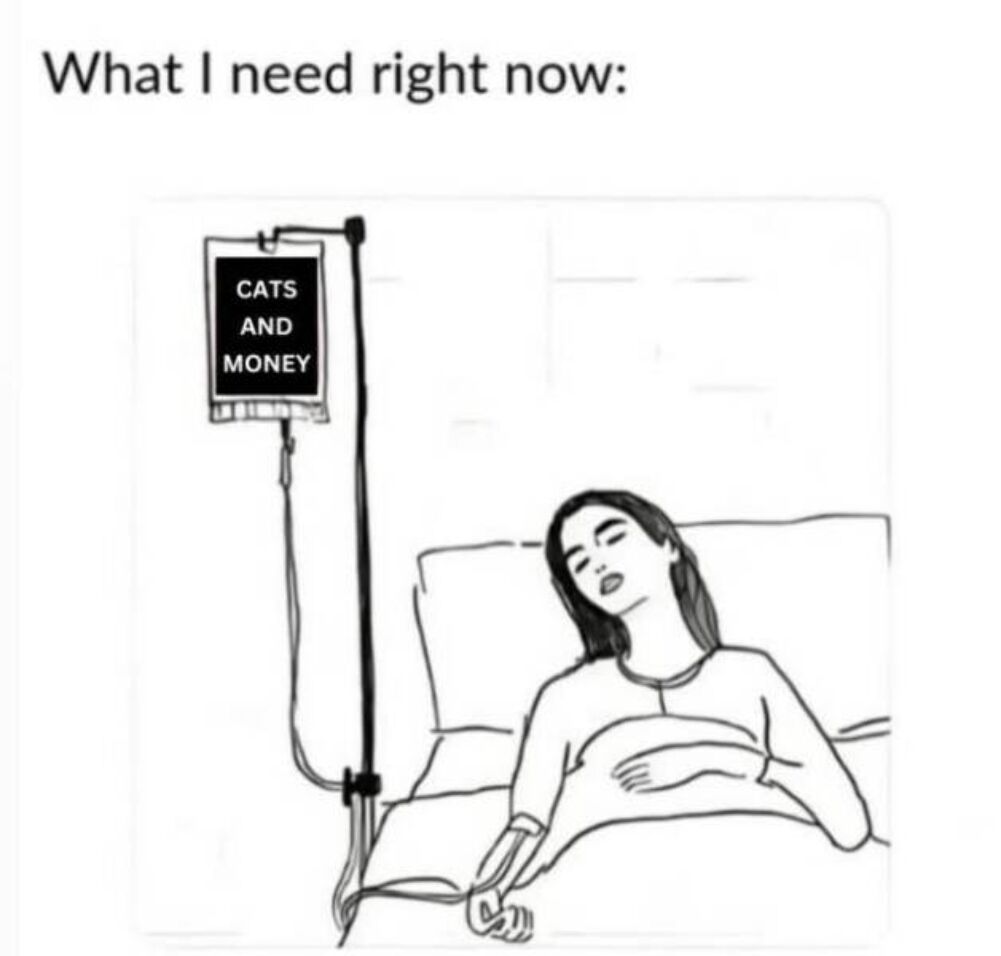 what i need right now