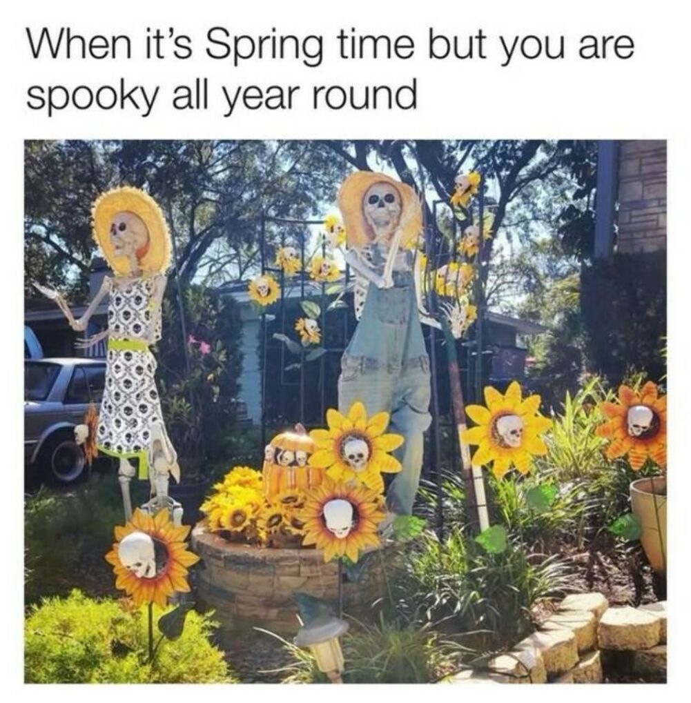 when it is spring time