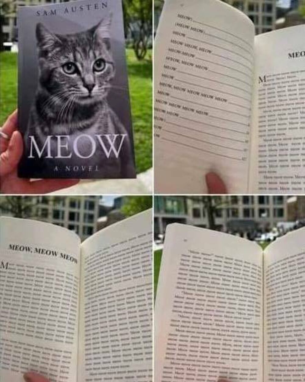 a meowing book
