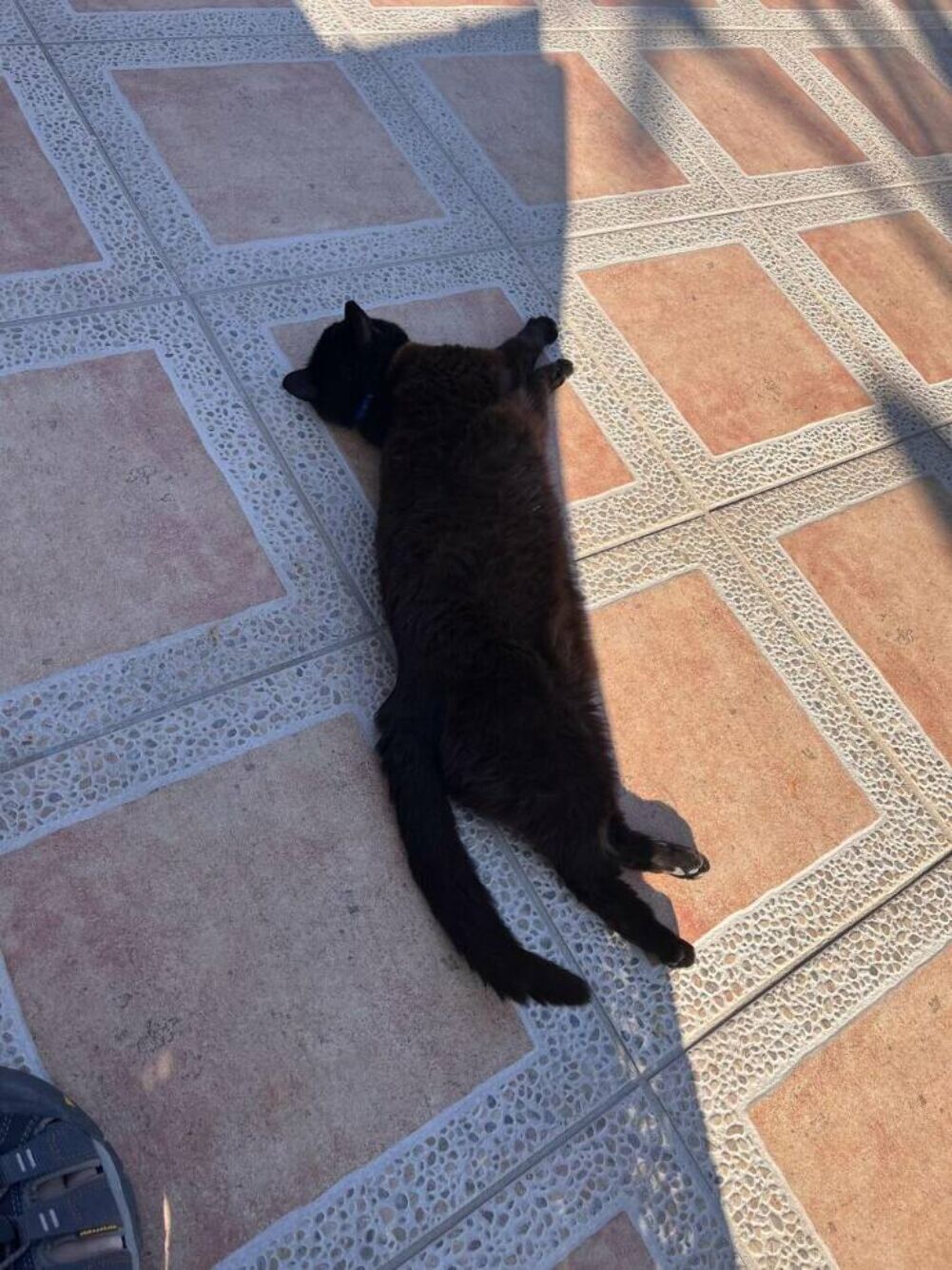 cool side of the pillow