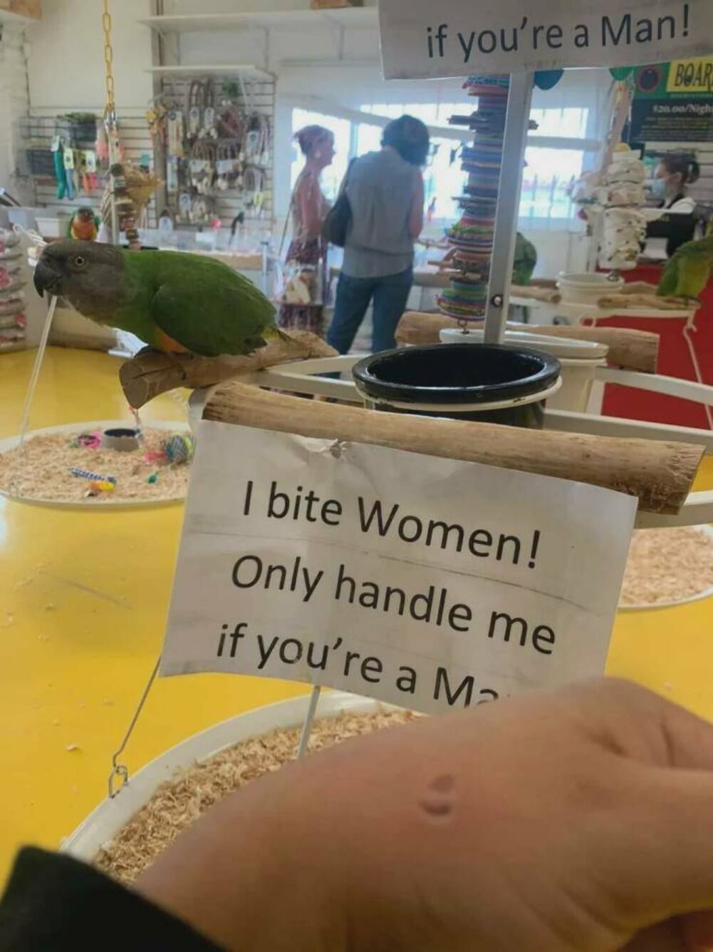 i bite women