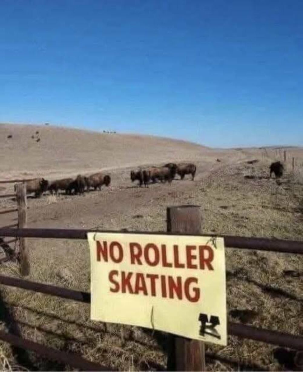 no roller skating