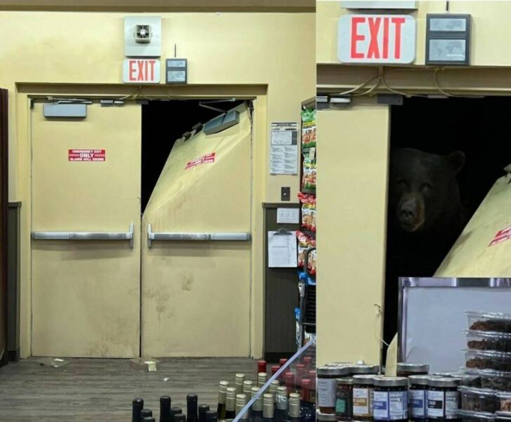 someone had to get in