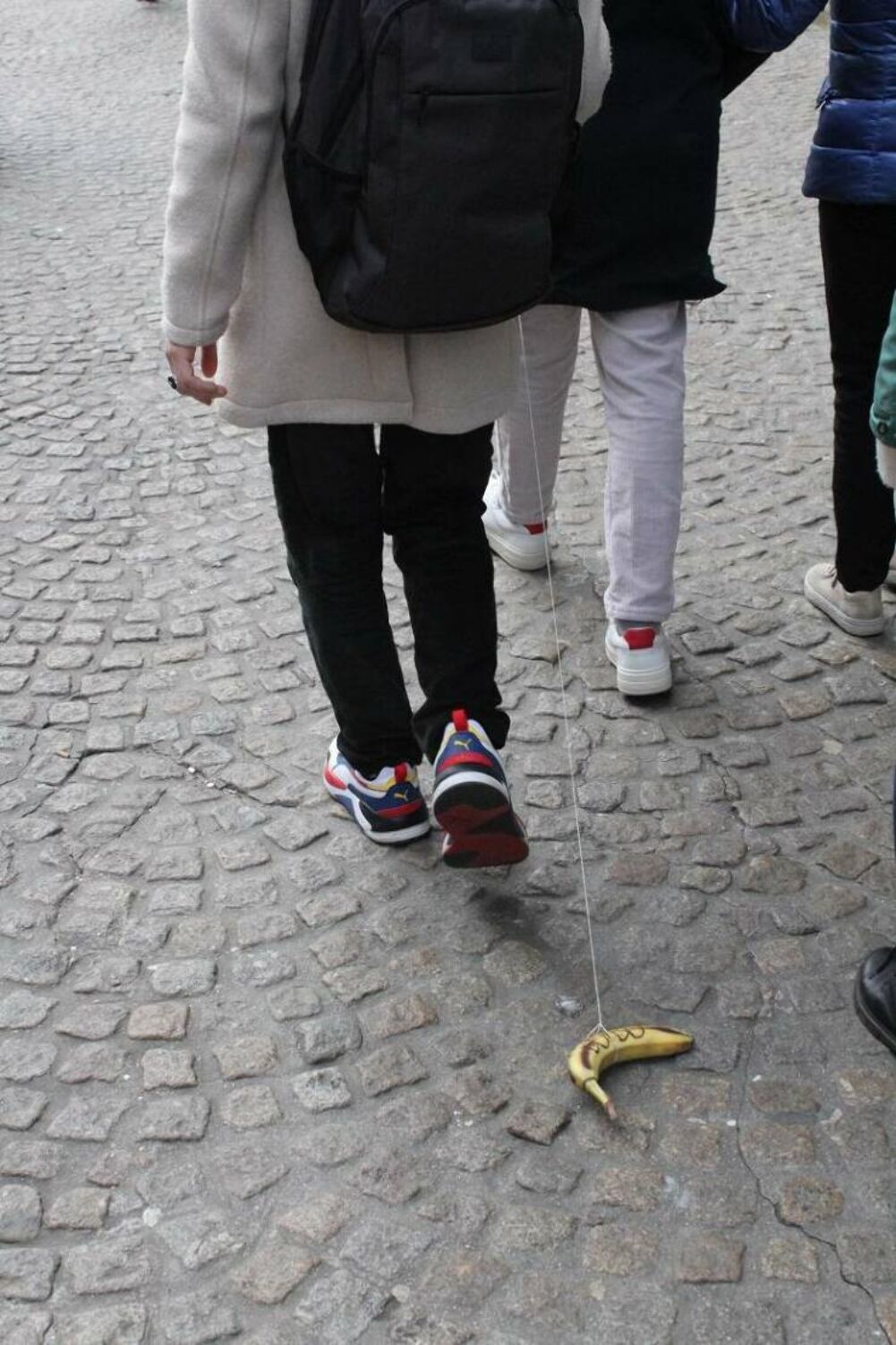 walking my pet banana