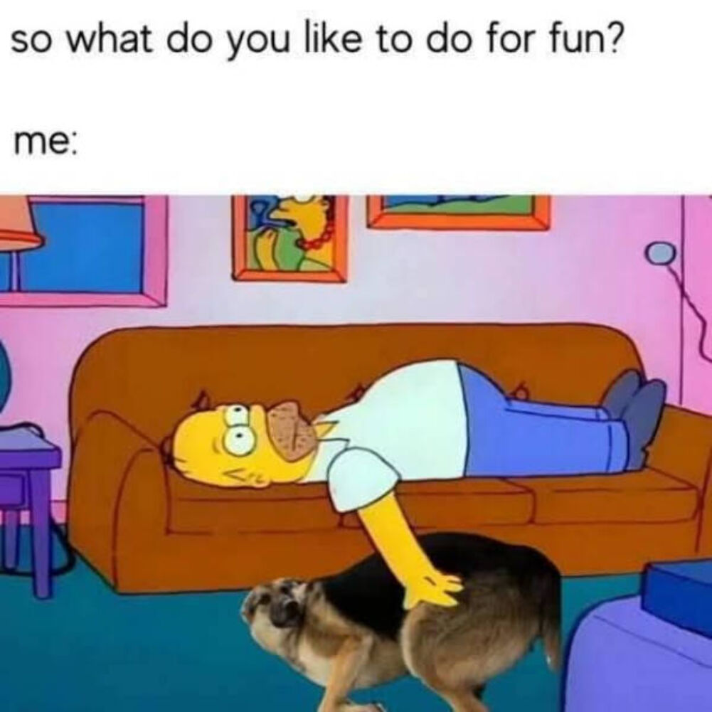 what do you do for fun