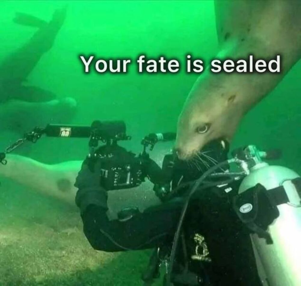 your fate
