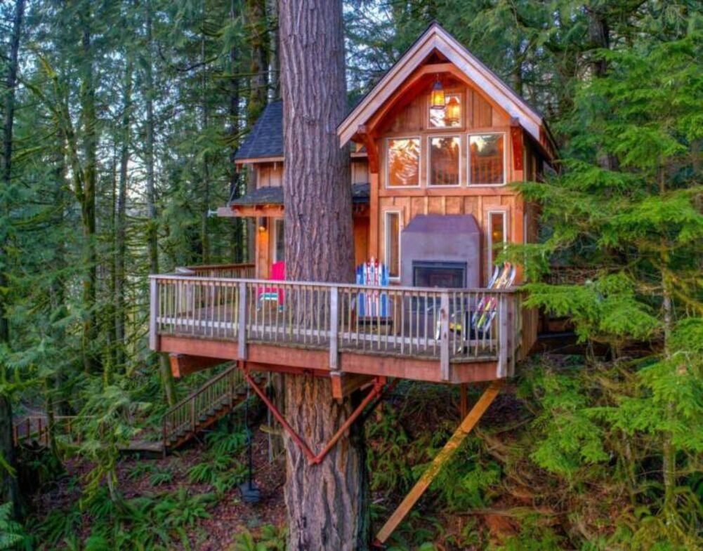 nice tree house