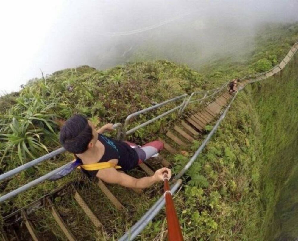 that is a no for me dog