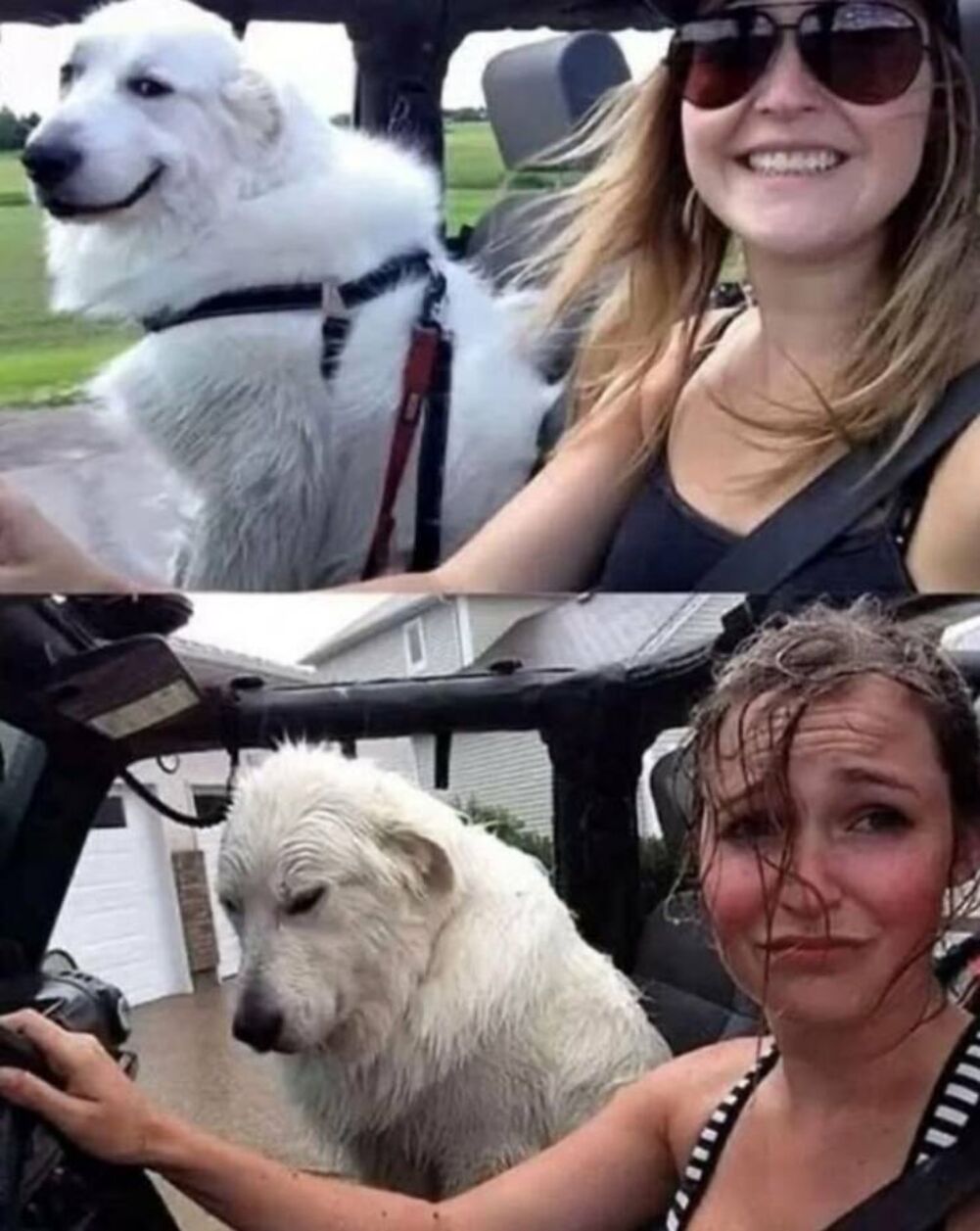 was all fun and games