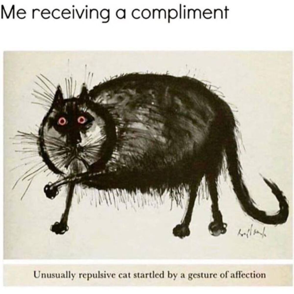 compliment