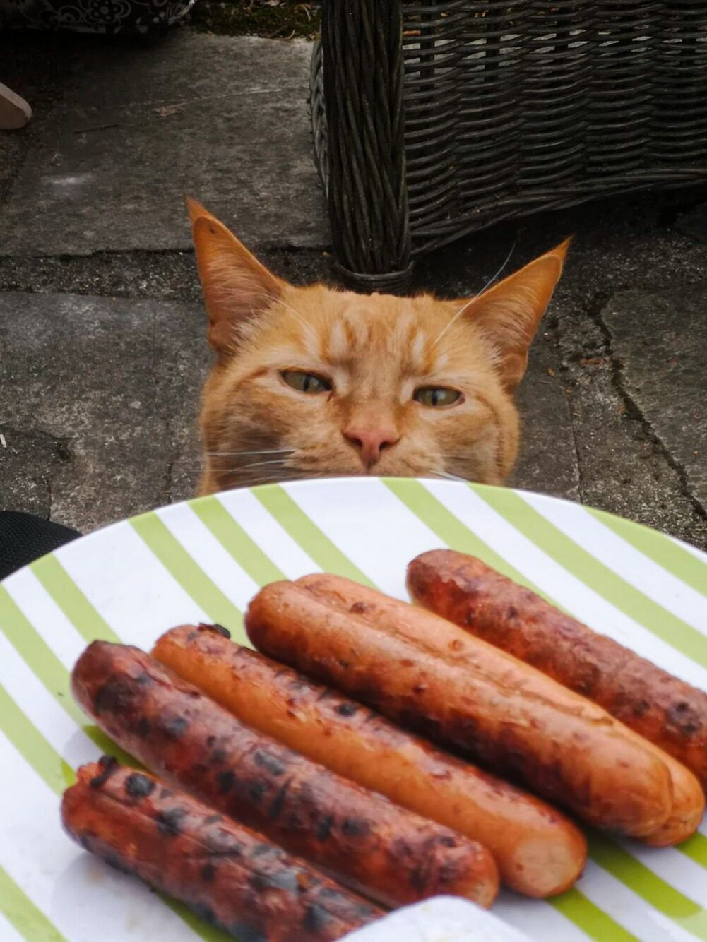 i see what you did there