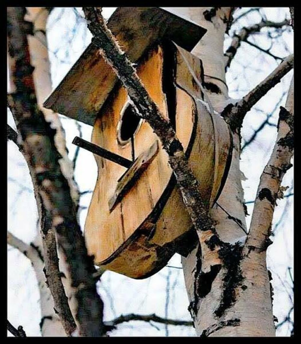 nice bird house