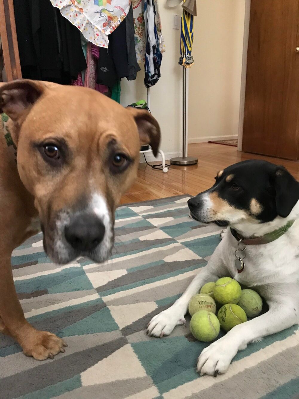 no these are all mine