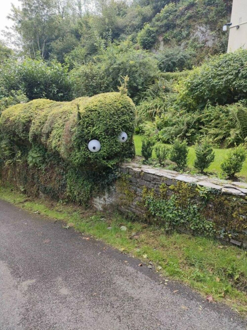 this busy is on the go