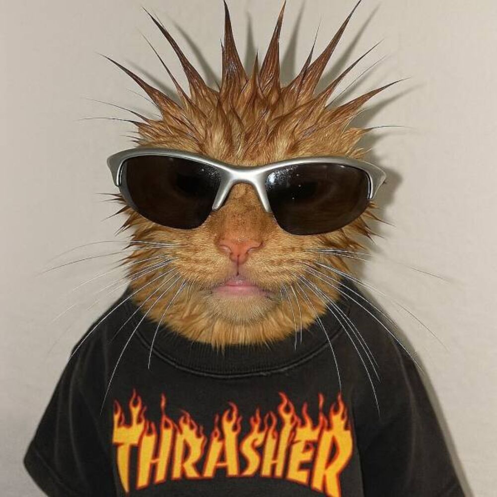 thrasher