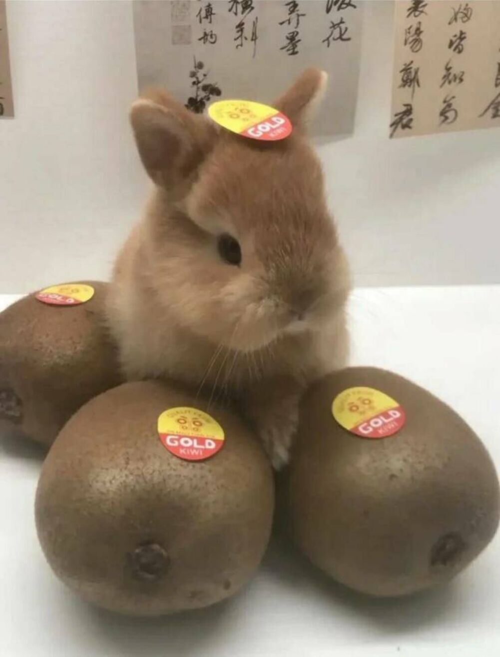 one of these went bad