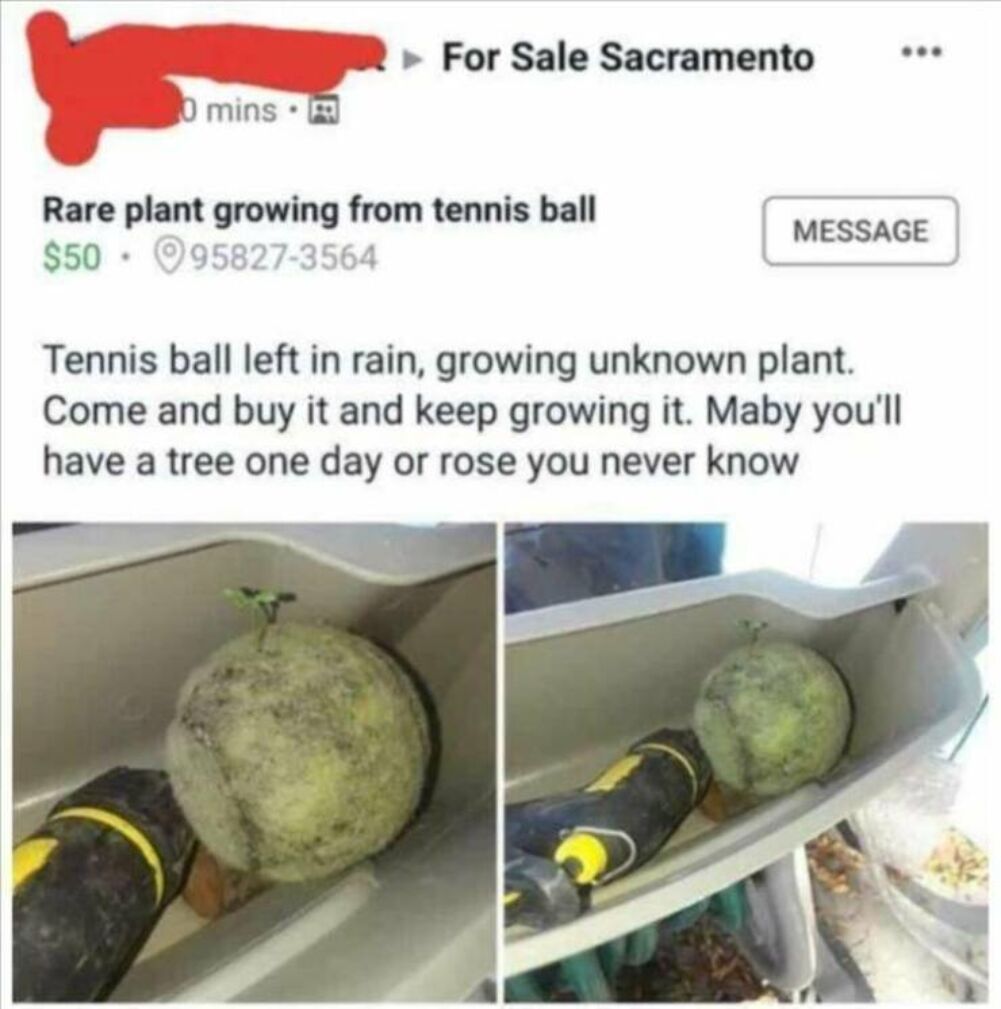 rare plant