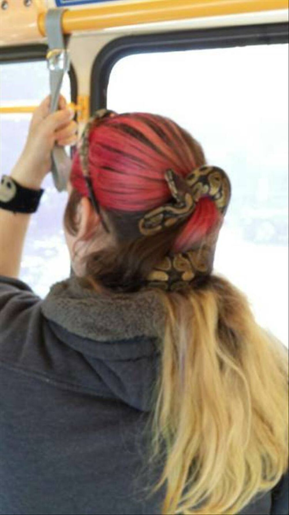 snake in the hair
