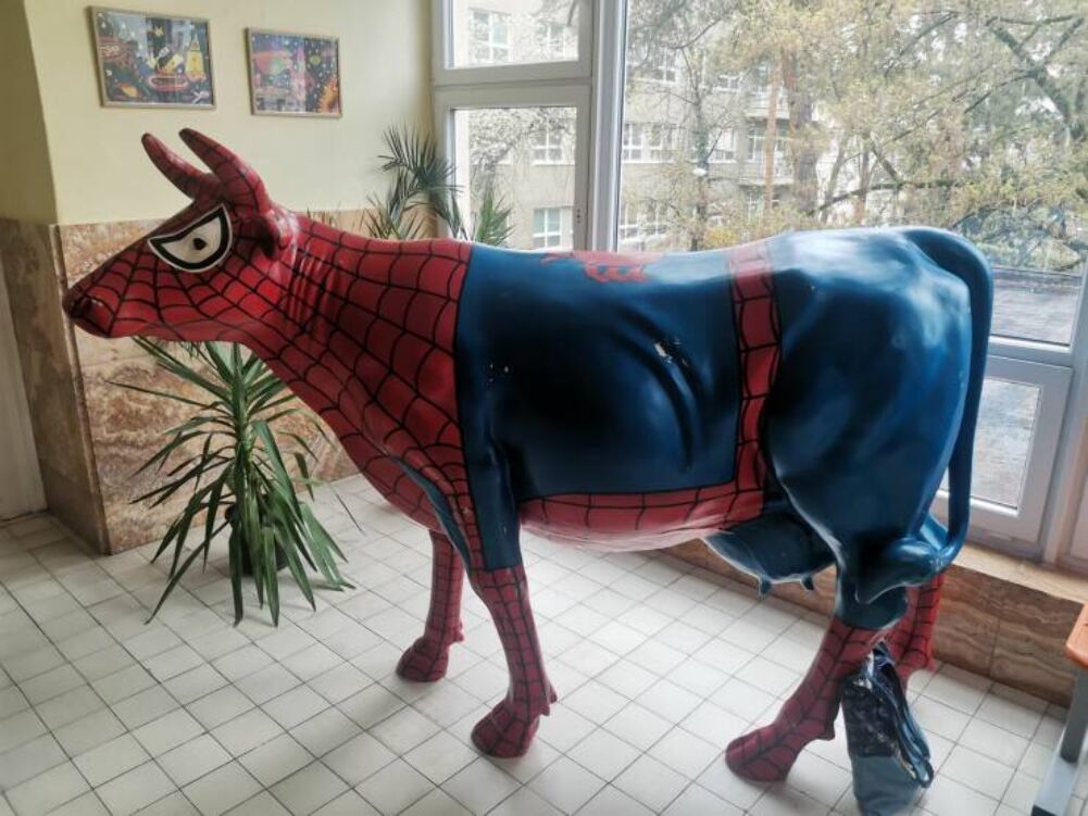 spider cow