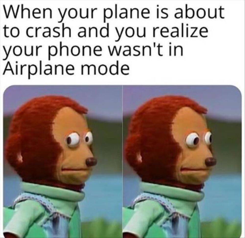 the plane