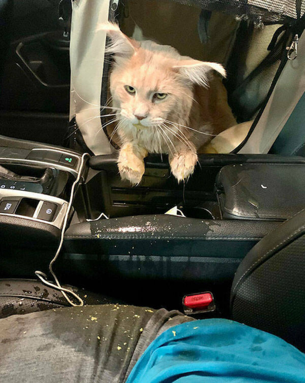 bad day for this guy