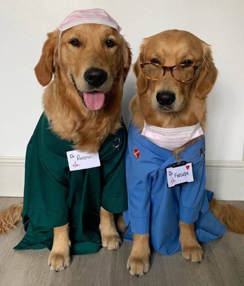 the dr will see you now