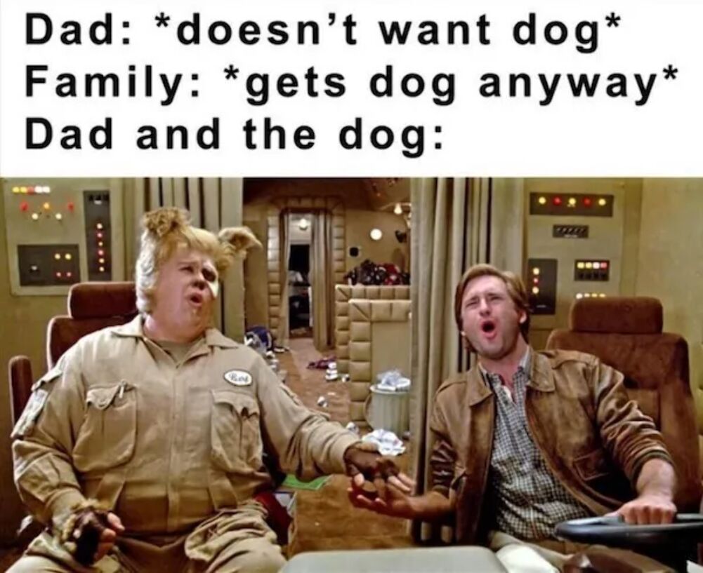 dad and the dog