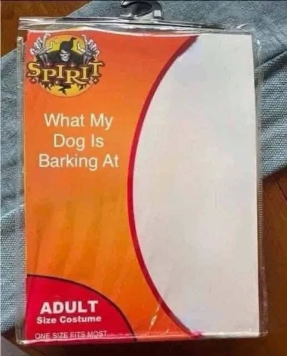 what is he barking at