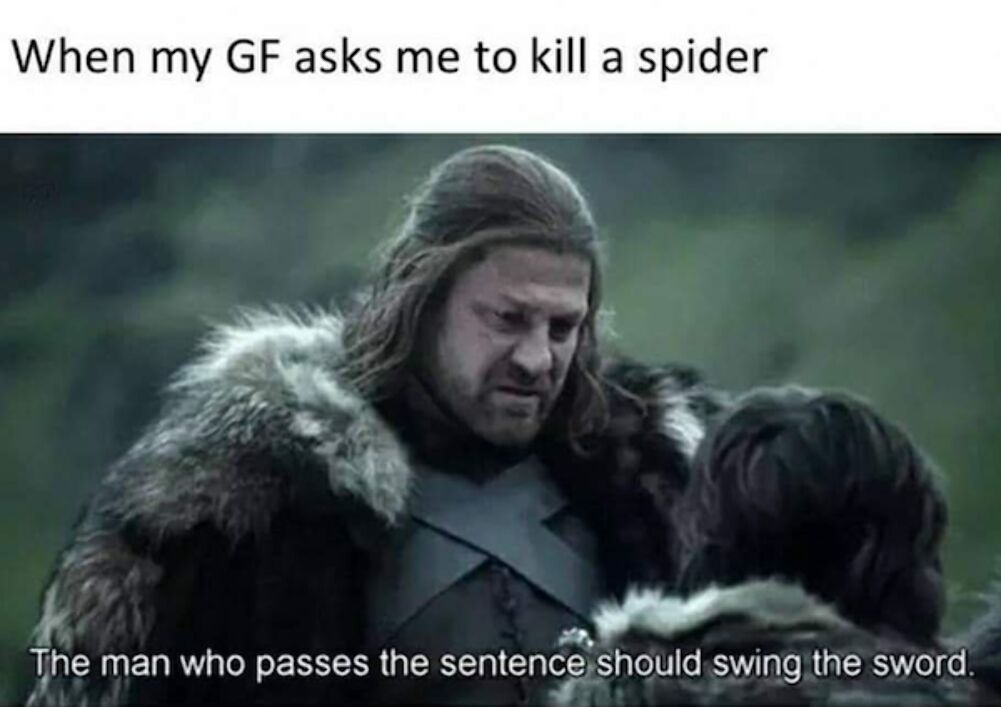 kill a spider