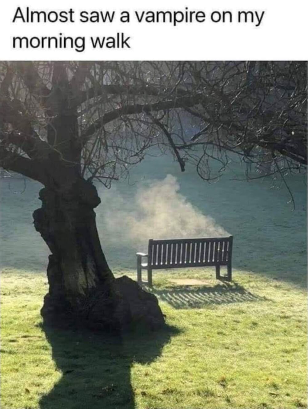 almost saw one